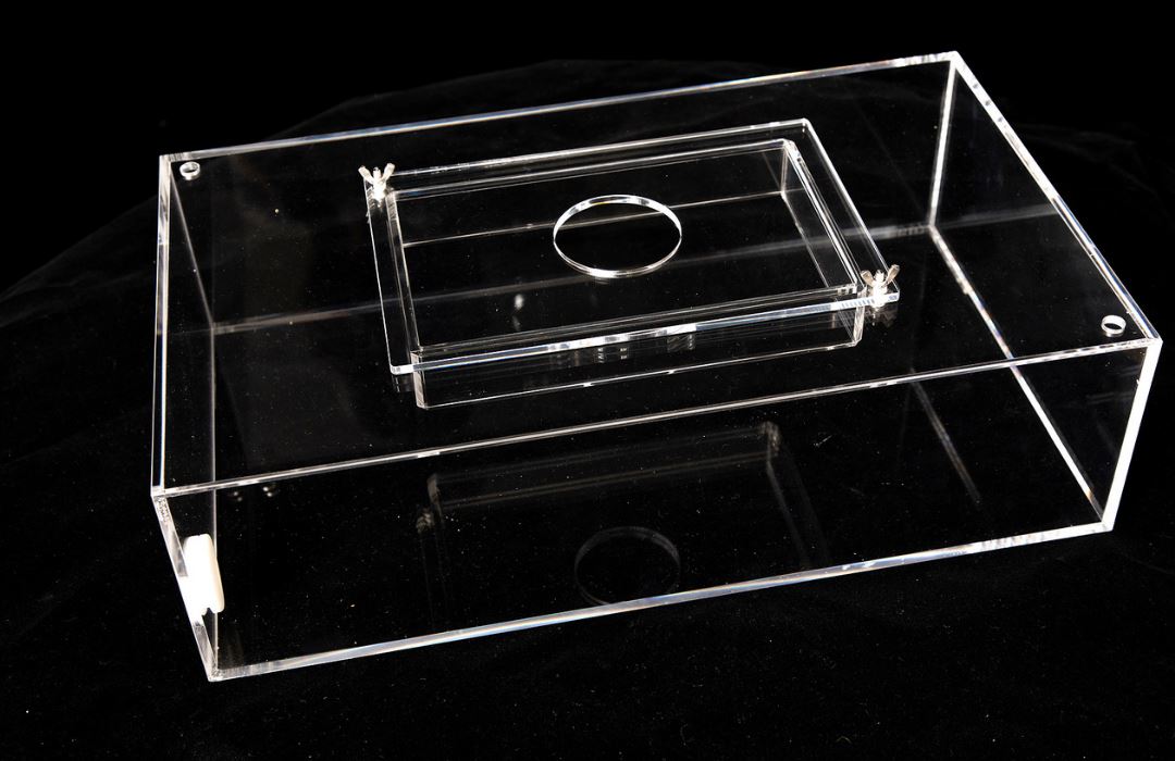 The All In Live Bait Trap