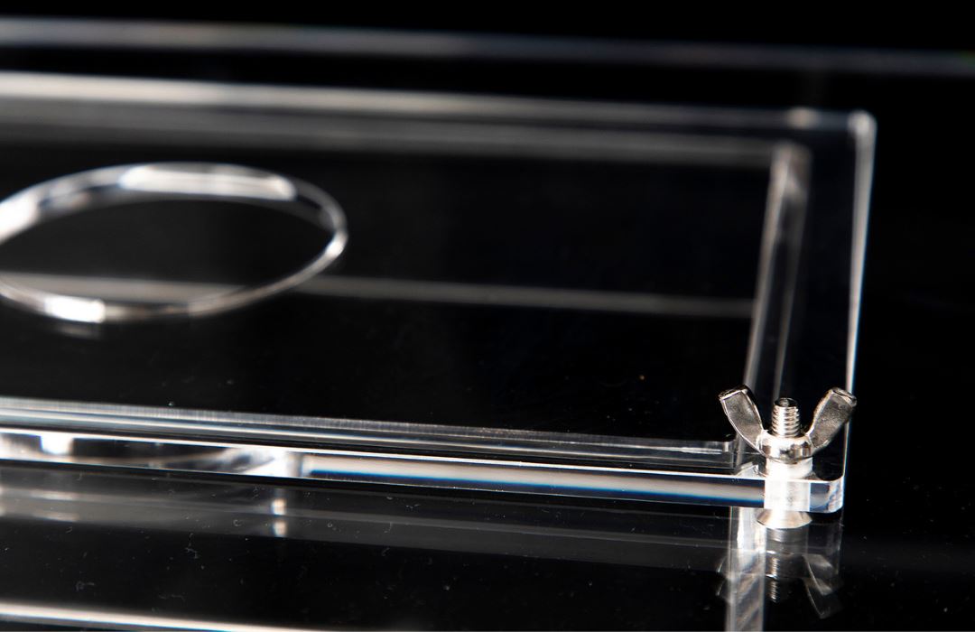 The All In Live Bait Trap