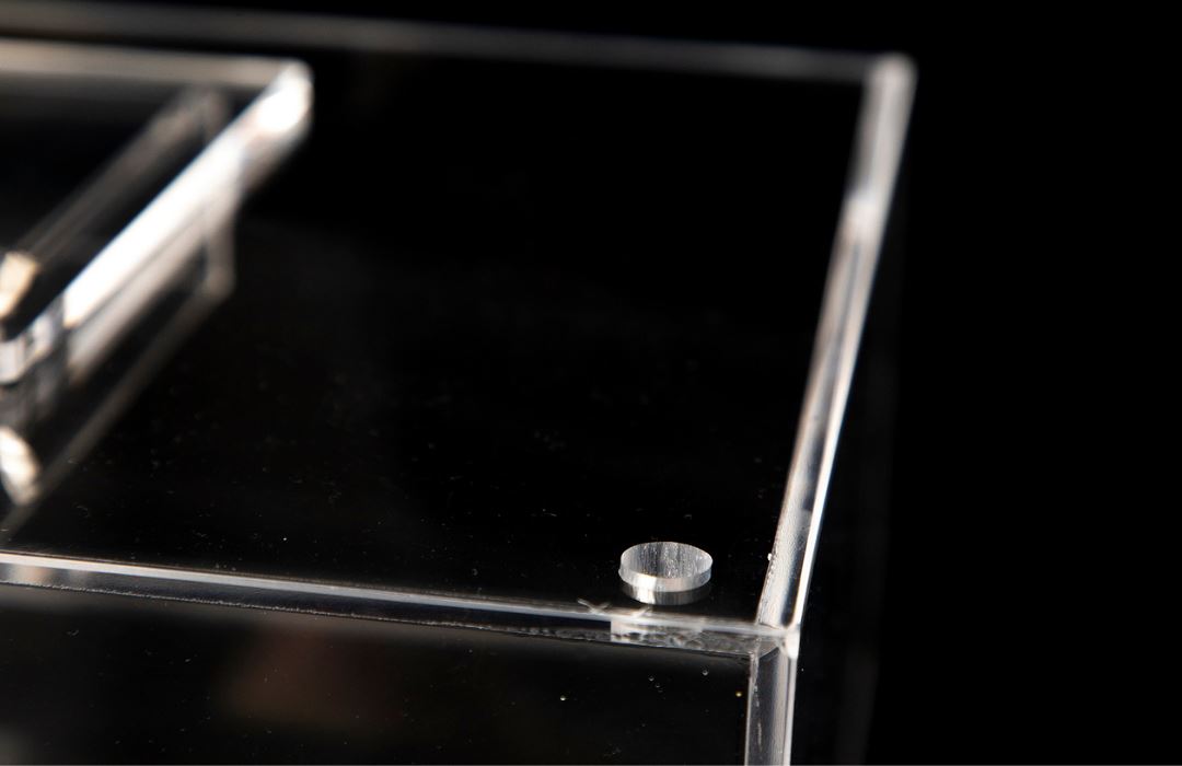 The All In Live Bait Trap