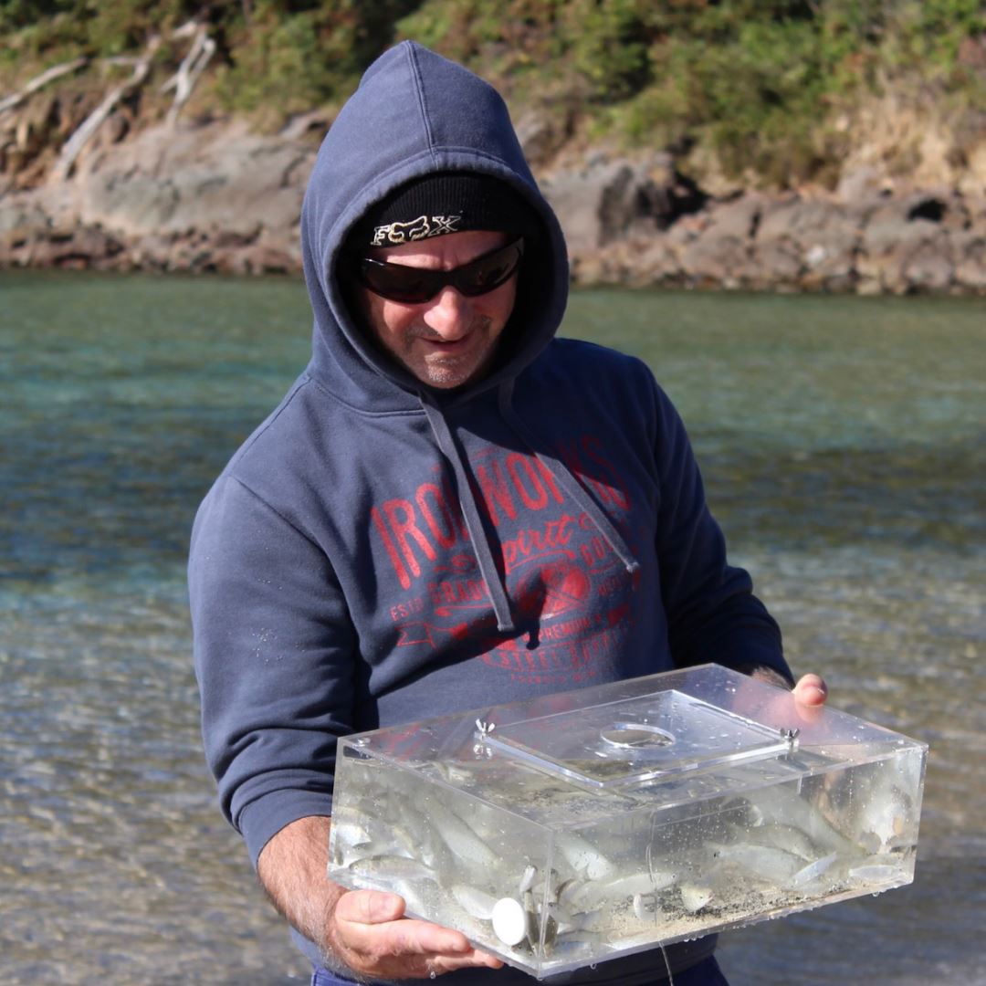 The All In Live Bait Trap