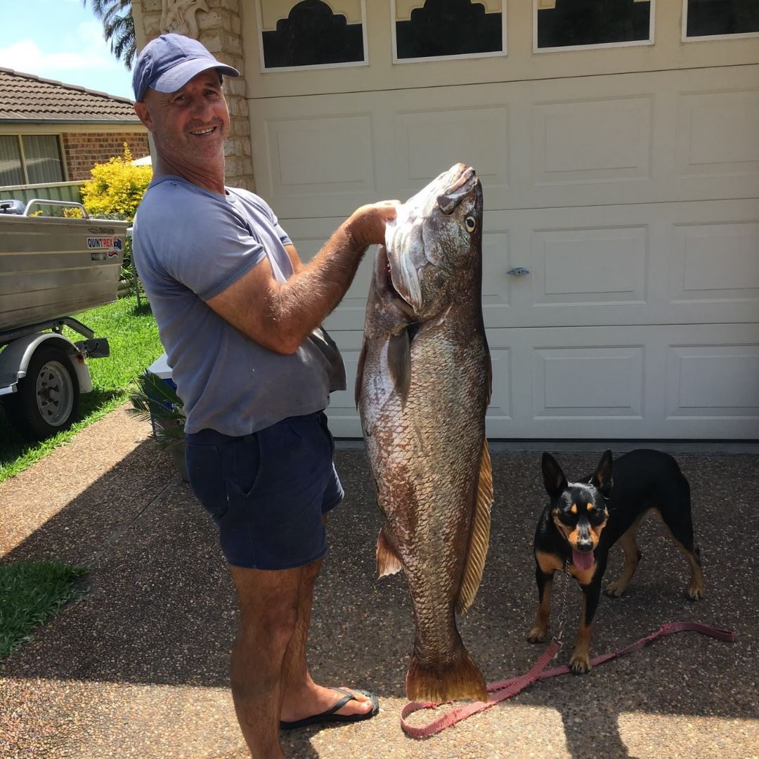 The All In Live Bait Trap